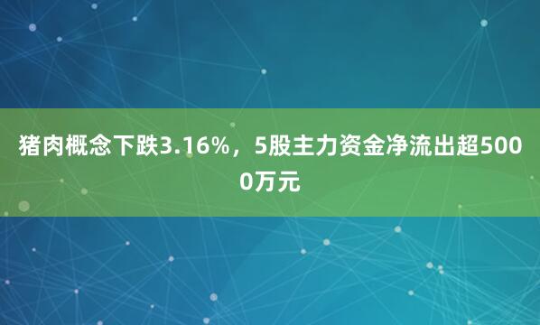 猪肉概念下跌3.16%，5股主力资金净流出超5000万元
