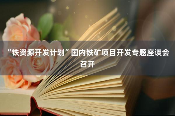 “铁资源开发计划”国内铁矿项目开发专题座谈会召开