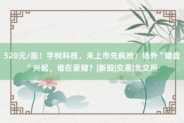520元/股！宇树科技，未上市先疯抢！场外“暗盘”兴起，谁在豪赌？|新股|交易|北交所