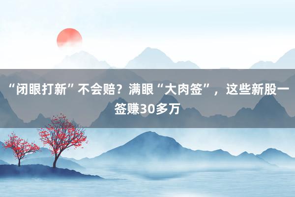 “闭眼打新”不会赔？满眼“大肉签”，这些新股一签赚30多万