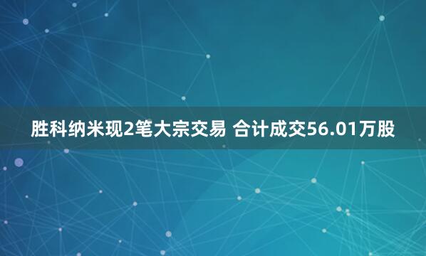 胜科纳米现2笔大宗交易 合计成交56.01万股