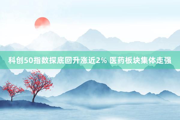 科创50指数探底回升涨近2% 医药板块集体走强