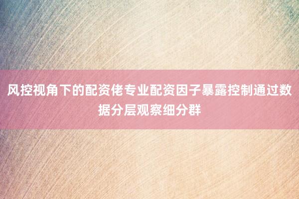 风控视角下的配资佬专业配资因子暴露控制通过数据分层观察细分群