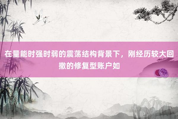在量能时强时弱的震荡结构背景下，刚经历较大回撤的修复型账户如