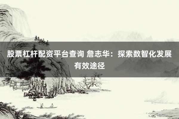 股票杠杆配资平台查询 詹志华：探索数智化发展有效途径