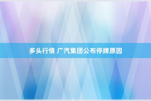 多头行情 广汽集团公布停牌原因