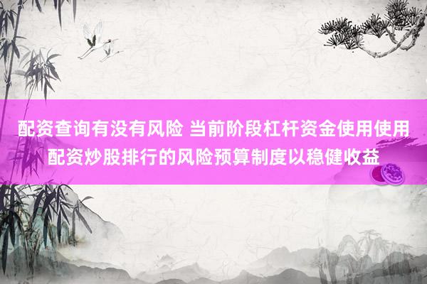 配资查询有没有风险 当前阶段杠杆资金使用使用配资炒股排行的风险预算制度以稳健收益