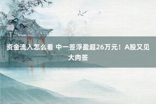 资金流入怎么看 中一签浮盈超26万元！A股又见大肉签