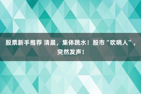 股票新手推荐 清晨，集体跳水！股市“吹哨人”，突然发声！