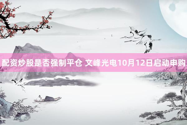 配资炒股是否强制平仓 文峰光电10月12日启动申购
