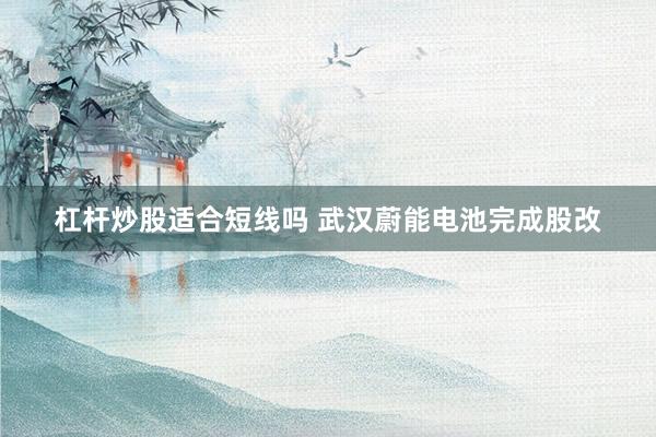 杠杆炒股适合短线吗 武汉蔚能电池完成股改
