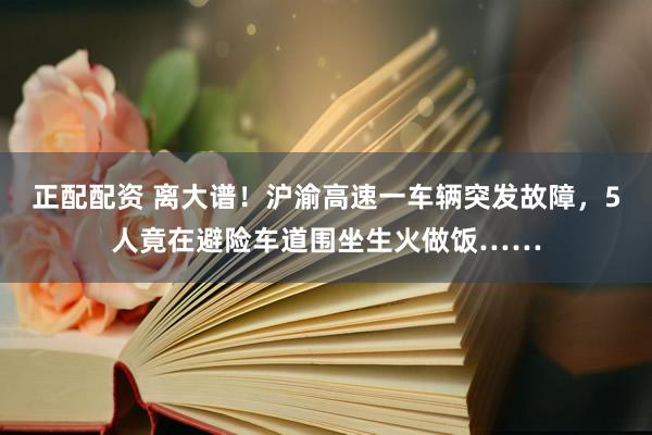 正配配资 离大谱！沪渝高速一车辆突发故障，5人竟在避险车道围坐生火做饭……